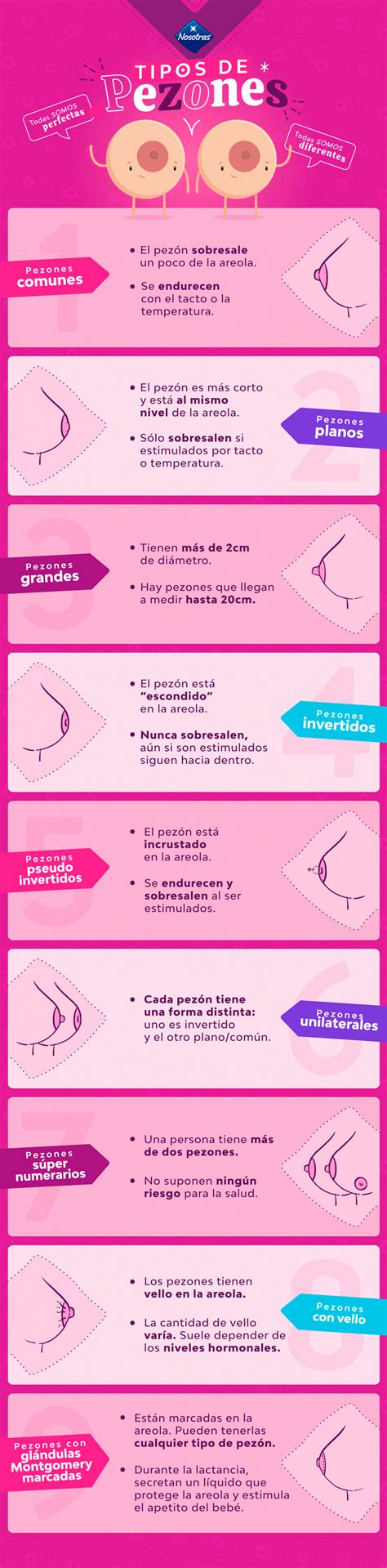 pezones grandes|Tipos de Senos Femeninos: Formas y Diversidad